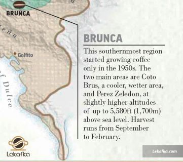 منطقه BRUNCA